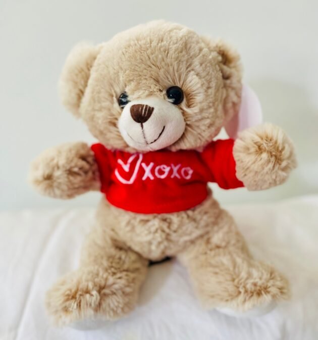 Beige Bear with Red Shirt (20cm)