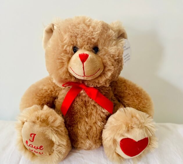 Brown Bear with Red Bow  (24cm)