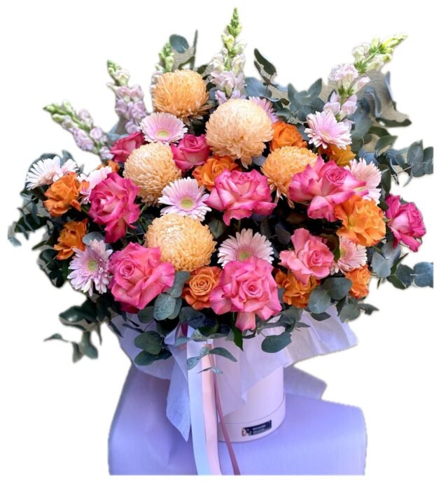 Vibrant Hatbox