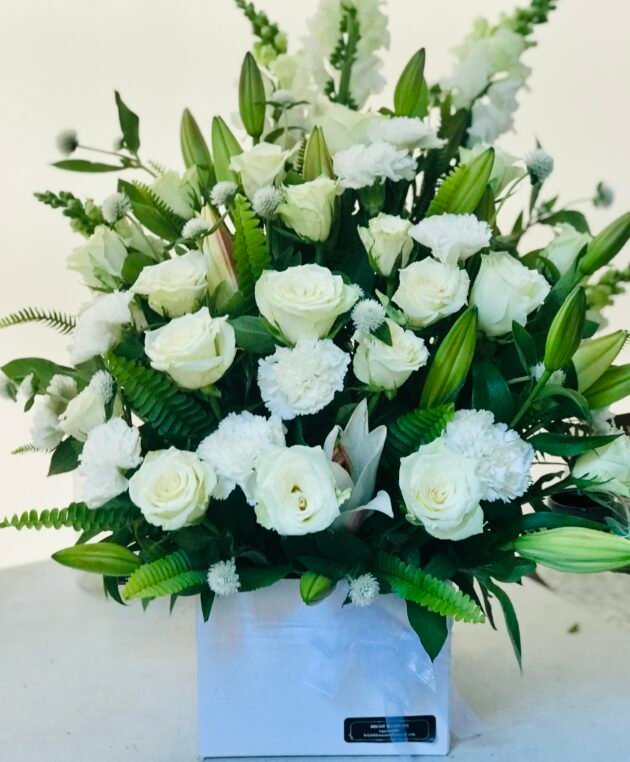 Pure Elegance Box