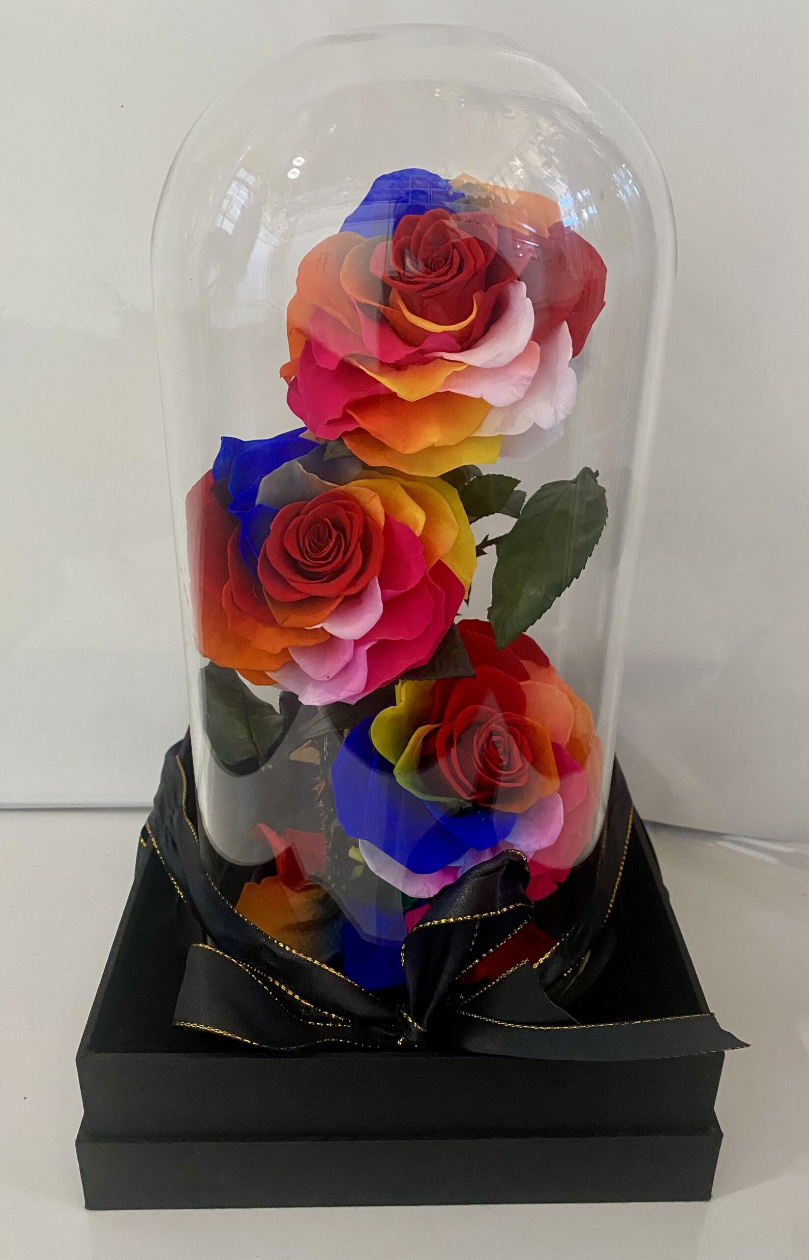 Everlasting Rose Dome – Trio Rainbow